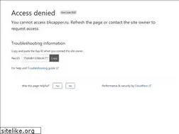 Sites similar to bkcapper.ru