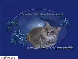 Sites similar to bkh-raeuber.de