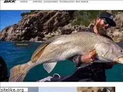Sites similar to bkkhooks.com.au
