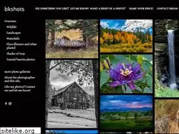 Sites similar to bkshots.com