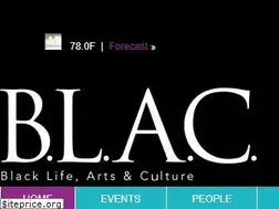 Sites similar to blacdetroit.com