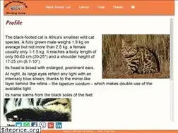 Sites similar to black-footed-cat.wild-cat.org