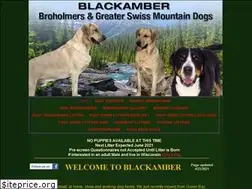 Sites similar to blackamberswissies.com