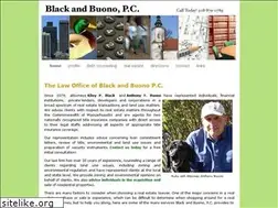 Sites similar to blackandbuono.com