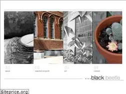 Sites similar to blackbeetle.com.au