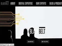 Sites similar to blackbelt.expert