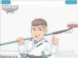 Sites similar to blackbeltwindowcleaning.com