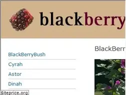 Sites similar to blackberrybush.net