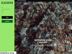 Sites similar to blackbird.black