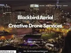 Sites similar to blackbirdaerial.co