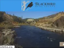 Sites similar to blackbirdrealestate.com