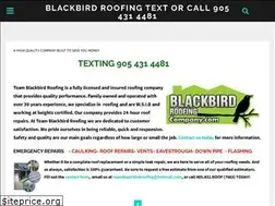 Sites similar to blackbirdroofingcompany.com