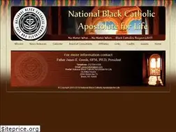 Sites similar to blackcatholicsforlife.org