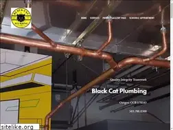 Sites similar to blackcatplumbing.com