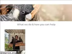 Sites similar to blackcockatoorecovery.com