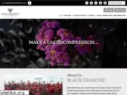 Sites similar to blackdiamondblooms.com