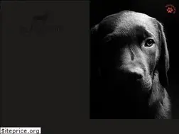 Sites similar to blackdog-consultants.com
