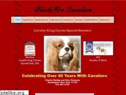 Sites similar to blackfirecavaliers.com