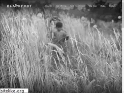 Sites similar to blackfoot.nz