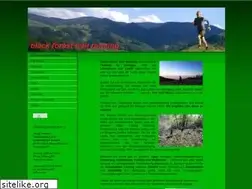 Sites similar to blackforesttrailrunning.de