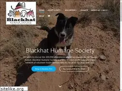 Sites similar to blackhathumanesociety.org