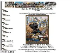 Sites similar to blackjackpocket.com