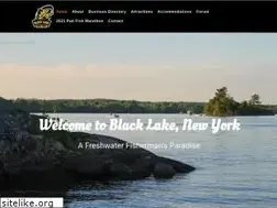 Sites similar to blacklakeny.com