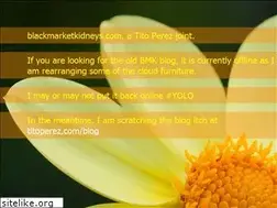Sites similar to blackmarketkidneys.com