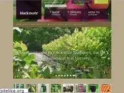 Sites similar to blackmoor.co.uk