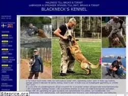 Sites similar to blacknecks.com