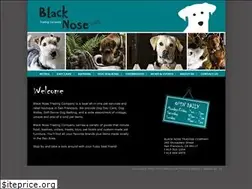 Sites similar to blacknosetrading.com