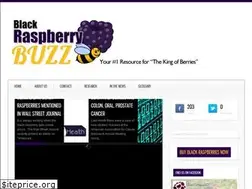 Sites similar to blackraspberrybuzz.com