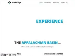 Sites similar to blackridgeusa.com