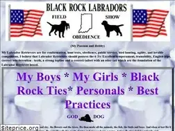 Sites similar to blackrocklabs.com