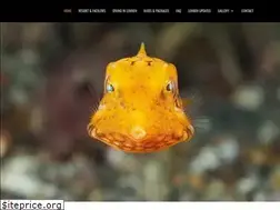 Sites similar to blacksanddive.com