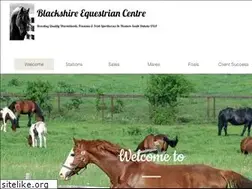 Sites similar to blackshireequestrian.com