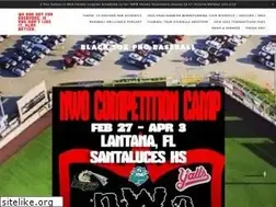 Sites similar to blacksoxprobaseball.com
