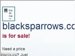 Sites similar to blacksparrows.com