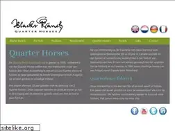 Sites similar to blacksranch.com