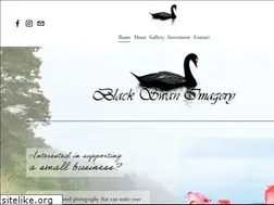 Sites similar to blackswanimagery.com