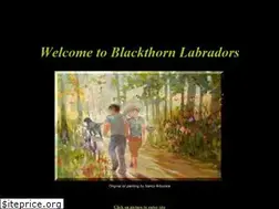 Sites similar to blackthornlabs.com