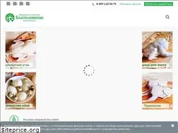 Sites similar to blagosloven.su