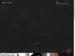 Sites similar to blairdog.com