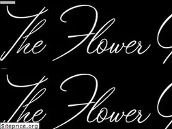 Sites similar to blairsvilleflowergarden.com
