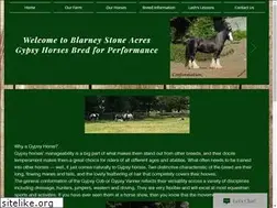 Sites similar to blarneystoneacres.com