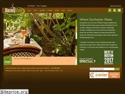 Sites similar to blarneystoneboston.com