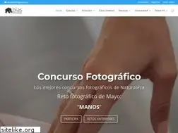 Sites similar to blasfotografia.com