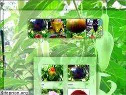 Sites similar to blaue-tomaten-shop.de