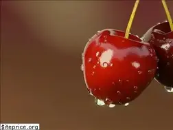 Sites similar to blenderinsight.com