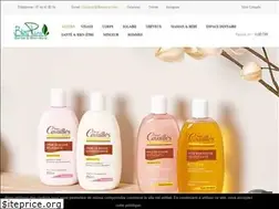 Sites similar to bleupara.com